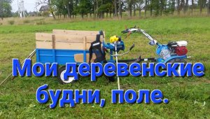 Моя деревня. На поле.