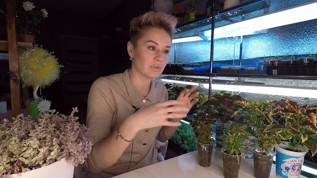 ПОРЯДОК В ТЕПЛИЦЕ.КАК ПОДДЕРЖИВАТЬ ЧИСТОТУ. смотреть онлайн