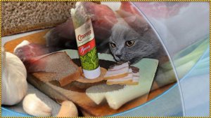 Без сала мучусь гитара Владимир Пришвицын