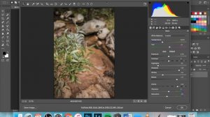 Convert Lightroom Presets to Photoshop Presets in 3 Minutes!