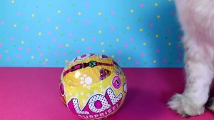 LOL SURPRISE 9 РАЗНЫХ ШАРОВ! ПРИЗРАК LOL ПИТОМЕЦ LQL !!! Куклы ЛОЛ СЮРПРИЗ ПОДДЕЛКА Анна Оськина