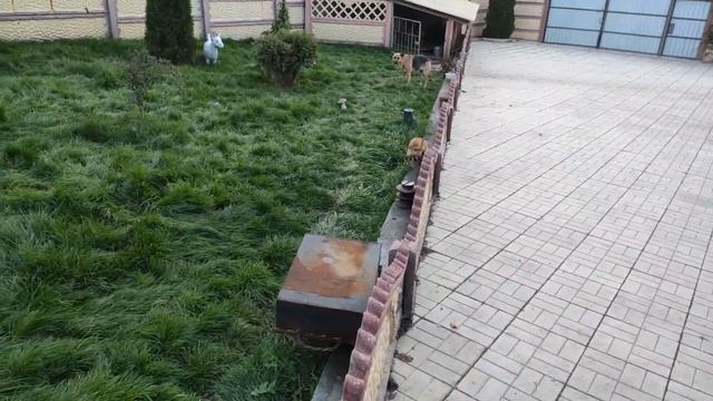 Славянск. 22.10.2022 г. Вечерние новости. смотреть онлайн