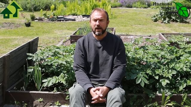 Вы УДИВИТЕСЬ, КАК ЭТО ПРОСТО! 5 простых способов избавиться от КОЛОРАДСКОГО ЖУКА без химии НАВСЕГДА
