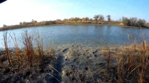 Микроджиг на канале осенью. Ловля окуня с берега.