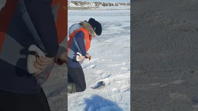 Зимняя рыбалка.Форель на платном водоеме.