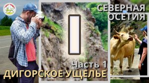 Что посмотреть в Осетии? Дигорское ущелье.Каньон Ахсинта. Мацута. Северная Осетия Алания. Full HD