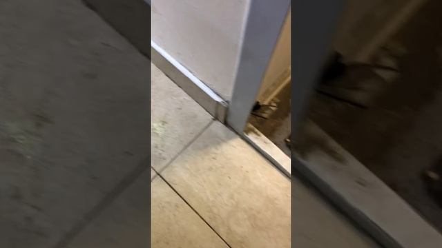 Makita GA504 смотреть онлайн