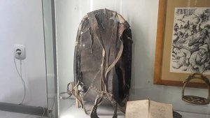 Поняга или рюкзак?