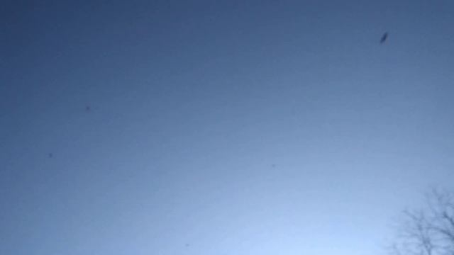 Краснодарские белобородые красные на гоне!?️?️?️ смотреть онлайн