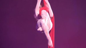 Circus on the water. Aerialist. Цирк. Воздушная гимнастка на полотнах