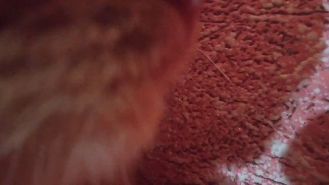 хрумка смотреть онлайн