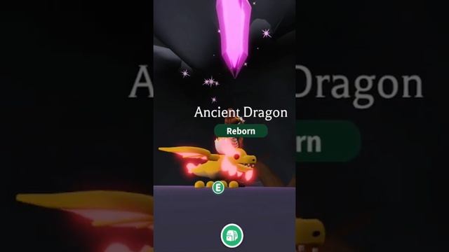 NEON ANCIENT DRAGON ✨ ? Adopt Me (Roblox) #Shorts