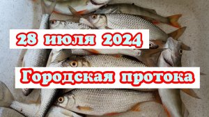 Якутск.Рыбалка. Городская протока. 28 июля 2024г.