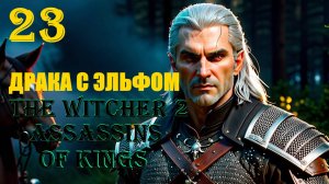 ВЕДЬМАК И ЭЛЬФЫ - THE WITCHER 2 ASSASSINS OF KINGS - ПРОХОЖДЕНИЕ НА 100 ПРОЦЕНТОВ #23