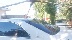 Туй дар Исфара