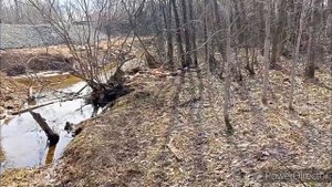 КИРОВ Коминтерн 2023