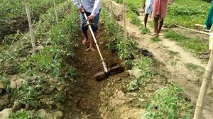 Husqvarna brush cutter 131RB. Ph. 6296870209