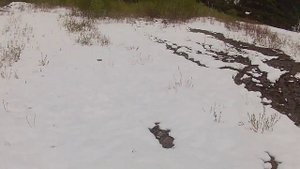 Пухляк, первым следом - НА ВЕЛИКЕ II