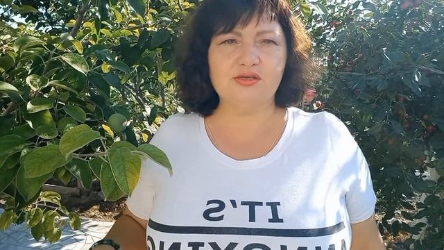 Малоуходный сад. Миф или реальность?