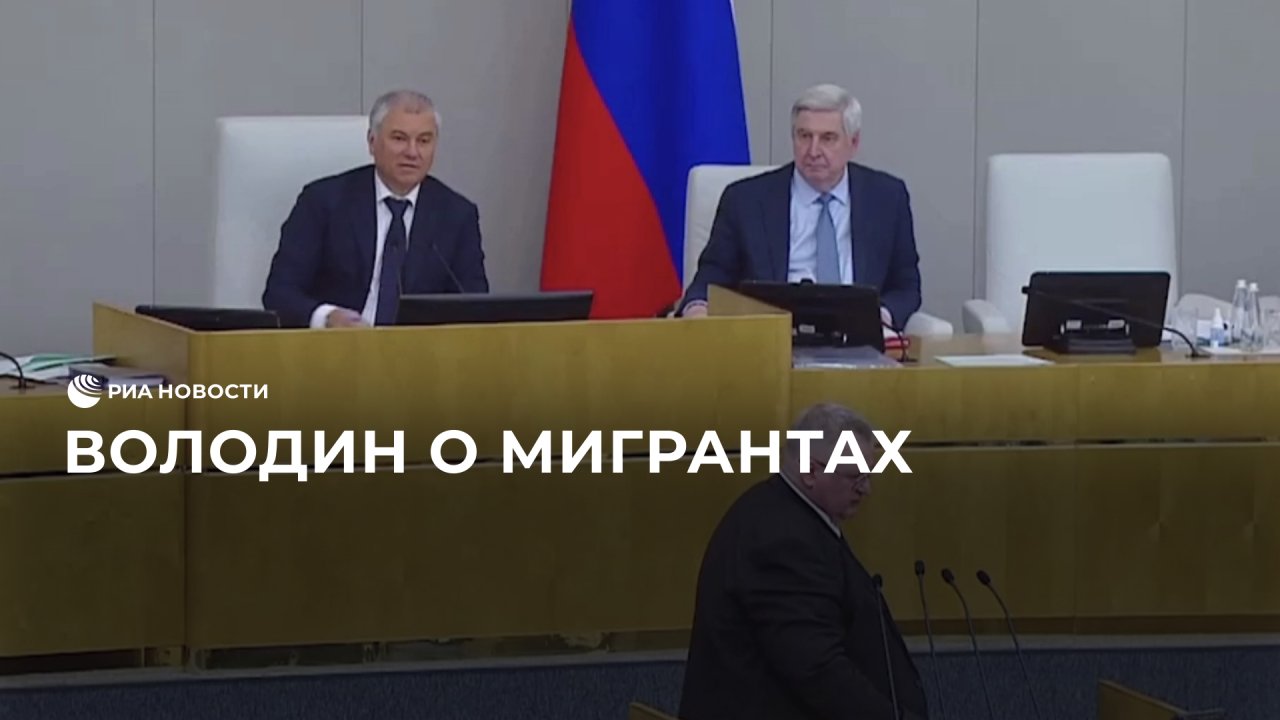 Володин о мигрантах