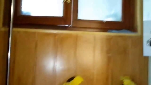 Гостиница в Феодосии ул.Чкалова с бассейном Отдых в Крыму. Район Комсомольского парка смотреть онлайн