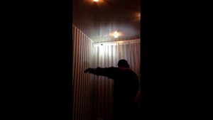 Летучая мышь атакует