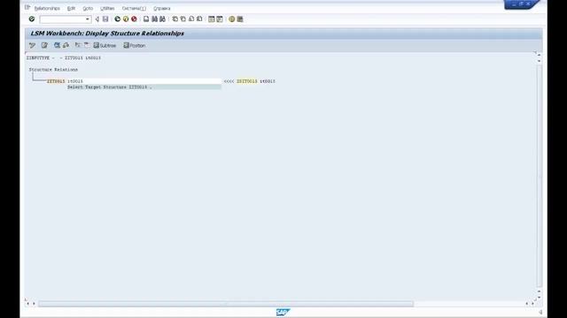 SAP LSMW для начинающих. смотреть онлайн
