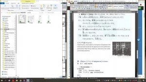 Происхождение иероглифов 漢字１９・６　系、孫 － 漢字の成り立ち