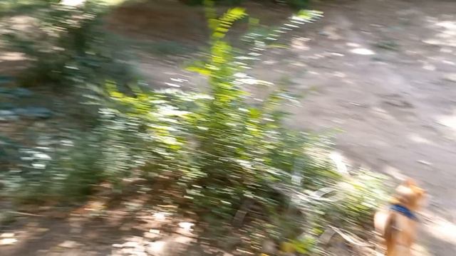 ОТВРАТИТЕЛЬНЫЕ КРОССОВКИ. смотреть онлайн