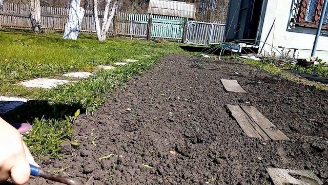 Замёрзли томаты в теплице, сею редиску и зелень, жарим шашлык смотреть онлайн