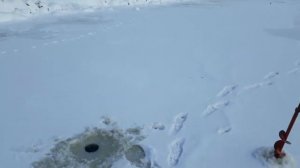 Зимняя рыбалка • Остёр • влог •