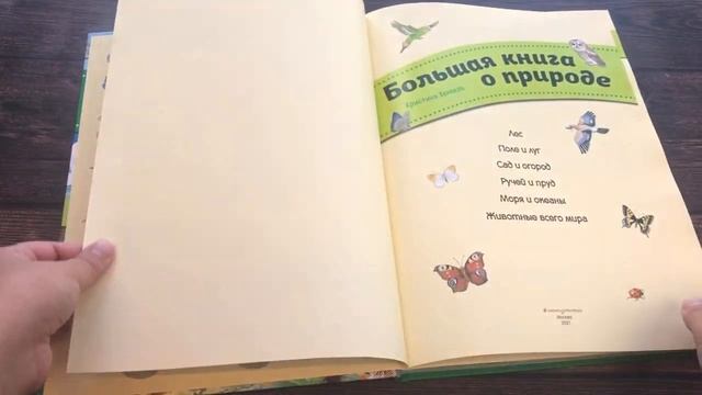 Большая книга о природе (ил. К. Хенкель) смотреть онлайн