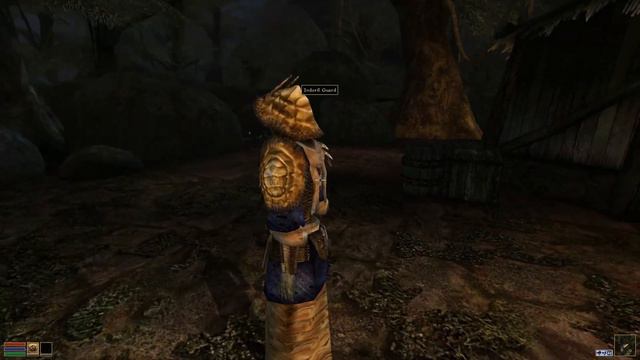 Exploring Tamriel Rebuilt - Ildrim