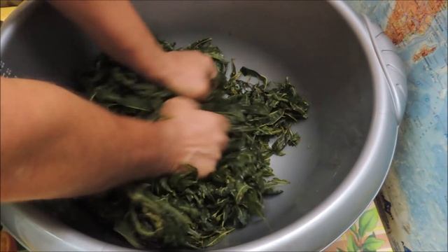 Копорский чай ??☕️ "Сахарный янтарь". (Russian tea).