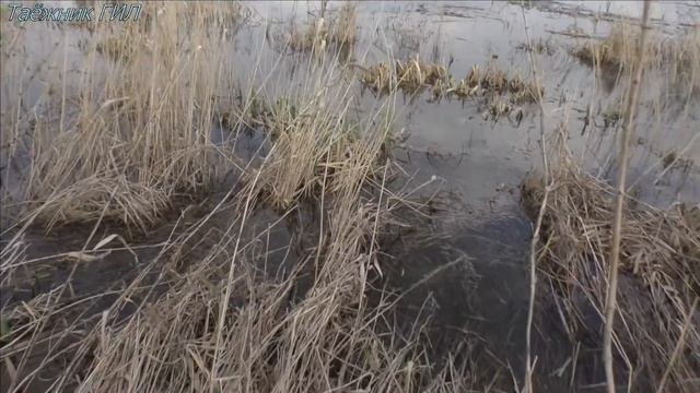 Рыбалка на мордушки, Ловушки для рыбы. смотреть онлайн