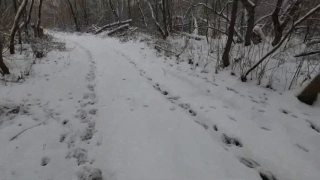 Пять озер с Бродягами жигулей