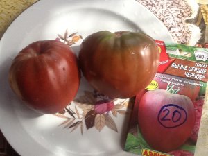 Томат "Бычье сердце черное". Дегустация