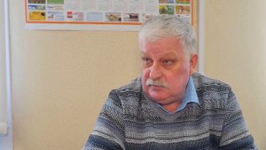 Где можно, а где нельзя гулять собакам