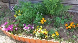 Дачный влог. Покраска сарая. Показываю как стало на участке.