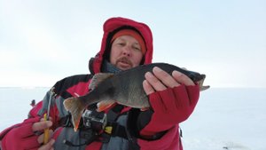Ловля пассивного окуня на балансир.Зимняя рыбалка на водохранилище.