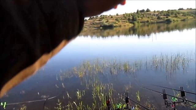 Карповая рыбалка в соседней области