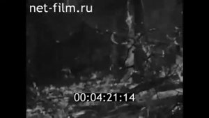 1974г. Национальный парк "Марий Чодра"