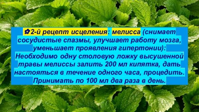 Средства для улучшения работы сосудов смотреть онлайн