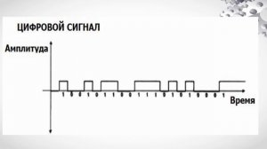 Аналоговый и цифровой сигнал. Зайцев 29ТК