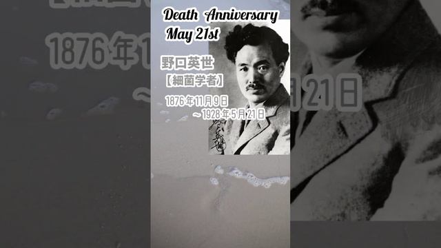 【追悼】野口英世さんの残した言葉【細菌学者】1876年11月9日～1928年5月21日