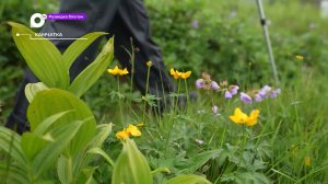 Разведка блогом / Горный массив Камчатки / 12.07.23