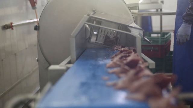 Слайсеры для мяса, рыбы, овощей, пр. (толщина среза от 1 мм до 700 мм+) - обзор Мясного Олимпа смотреть онлайн