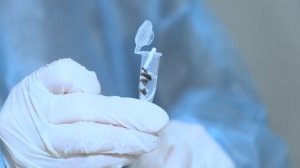 Эппендорф или Транспортные системы ГЕМ: отбор и транспортировка.