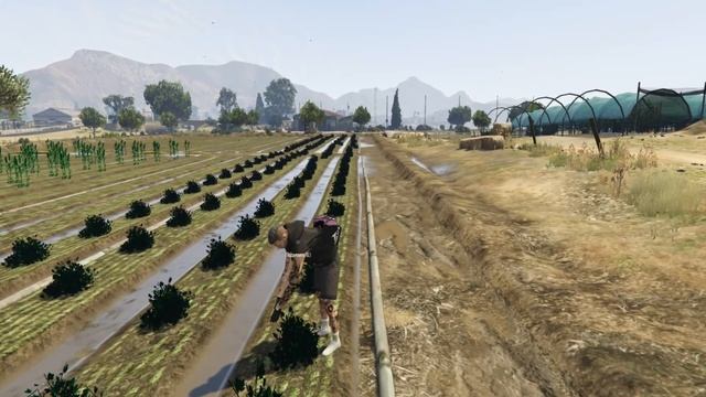 Сколько можно заработать работая с золотыми граблями на ферме в ГТА 5 на Arizona RP смотреть онлайн