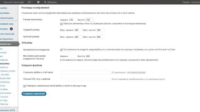 Настройка сайта WоrdPress.mp4 смотреть онлайн